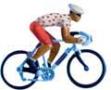 gal/Suite_Tour_de_France_2006/_thb_Tour de France 2006 798.jpg